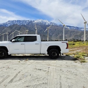tundra