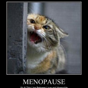 Menopause Thin Line