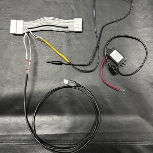 OEM Mic