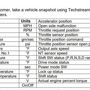 Throttle Lag Data