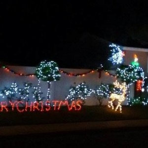 Awesome Christmas lights