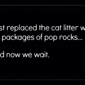 Pop Rock Litter