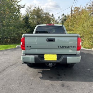 Tundra4