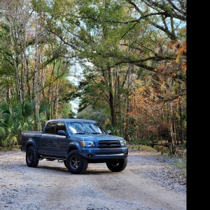 Tundrawild