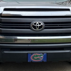 TundraBefore