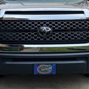 TundraAfter