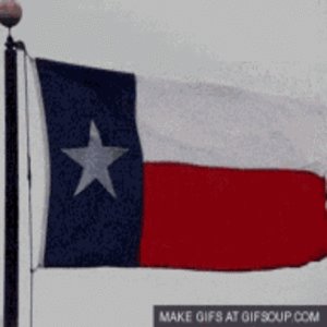 Texas-flag-waving